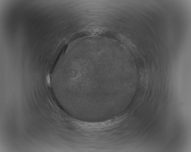 X0000082940042200702152225