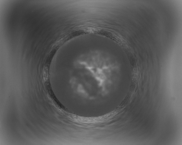 X0000082940043200702152225