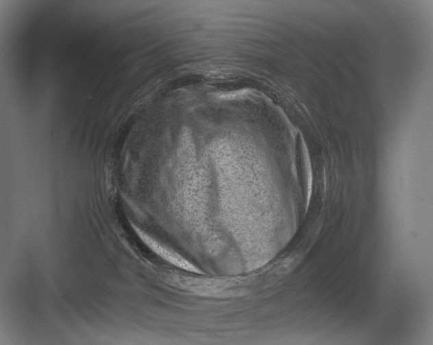 X0000082940044200702152225