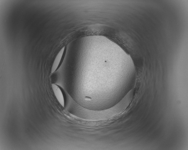 X0000082940045200702152225