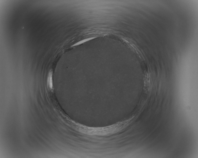 X0000082940046200702152225