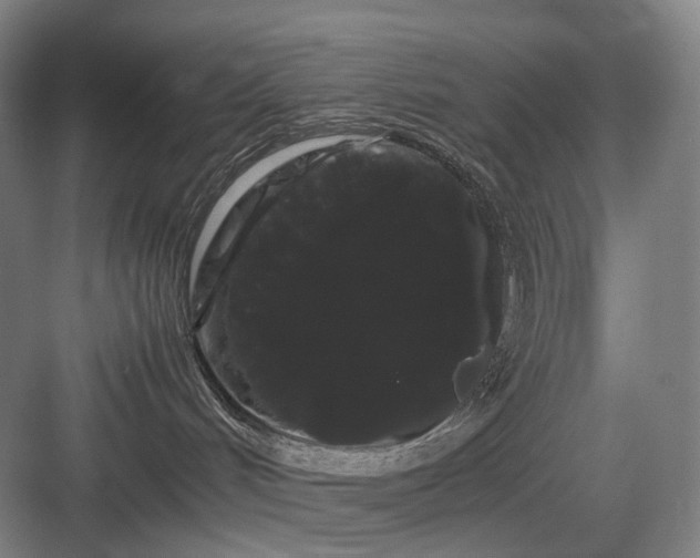 X0000082940048200702152225