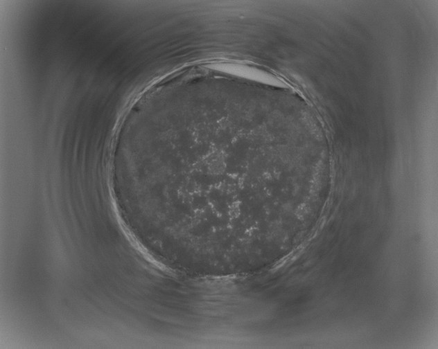 X0000082940049200702152224