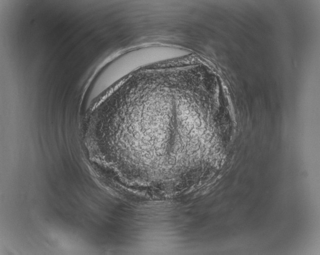 X0000082940050200702152224