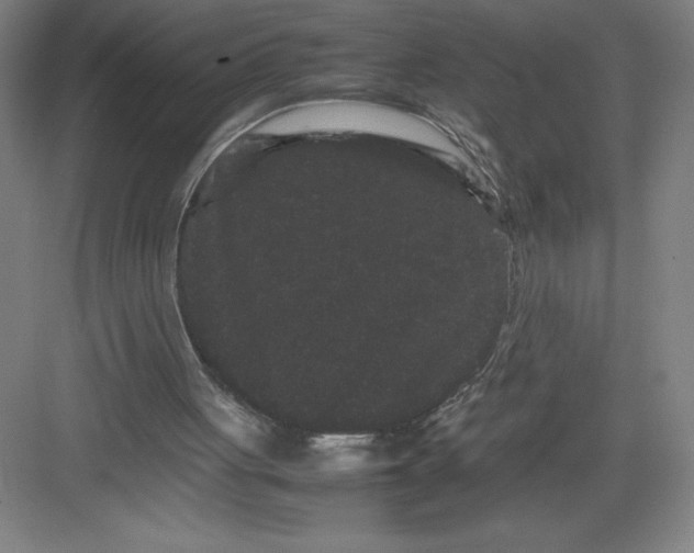 X0000082940051200702152224