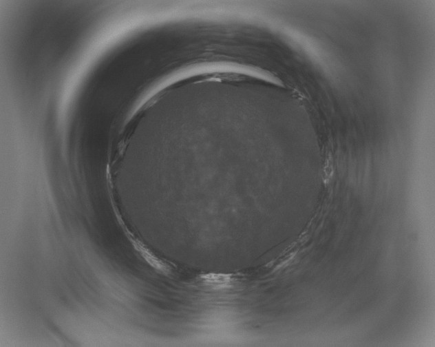 X0000082940052200702152224