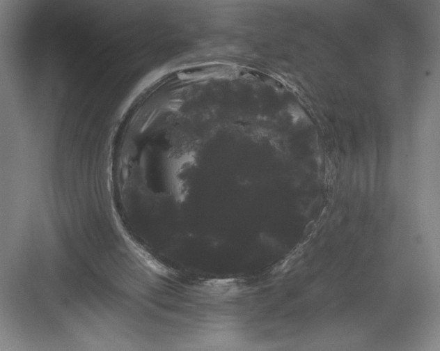 X0000082940054200702152224