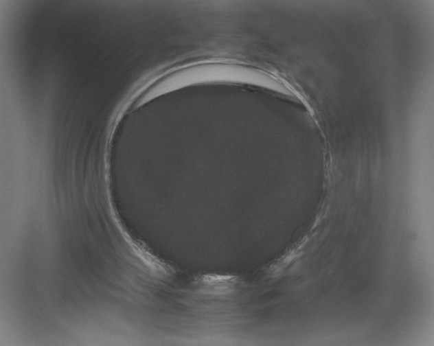 X0000082940055200702152224