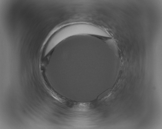 X0000082940056200702152225