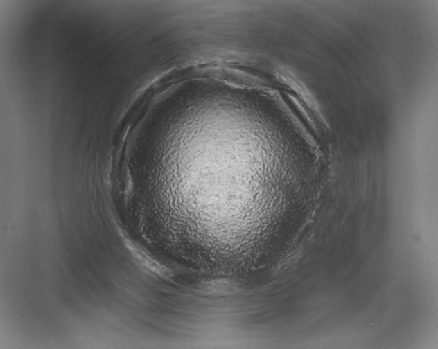 X0000082940058200702152225