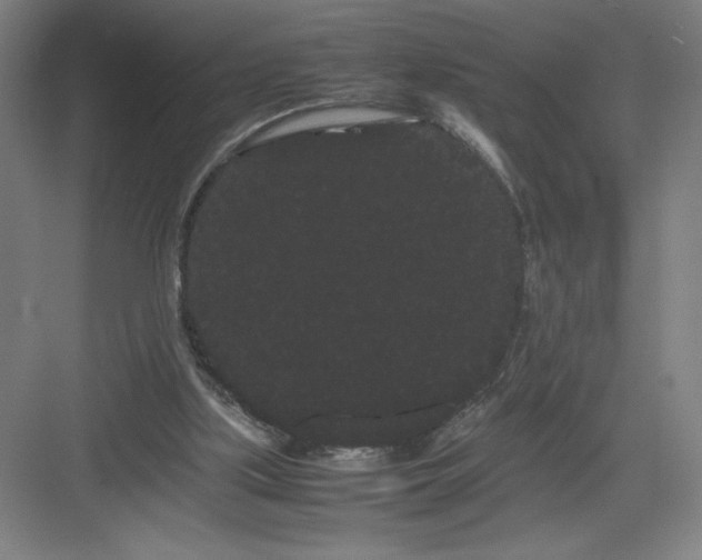 X0000082940059200702152225