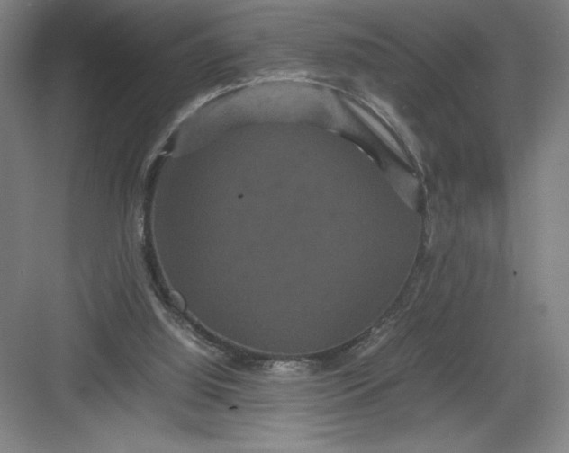 X0000082940060200702152225