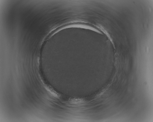 X0000082940063200702152225