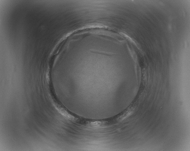 X0000082940064200702152225