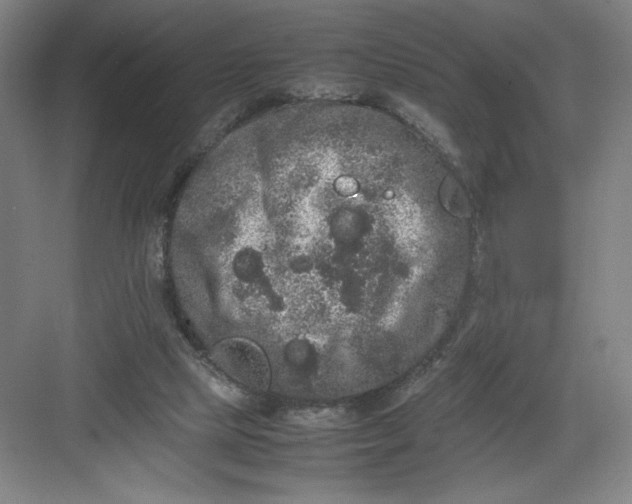 X0000082940065200702152225