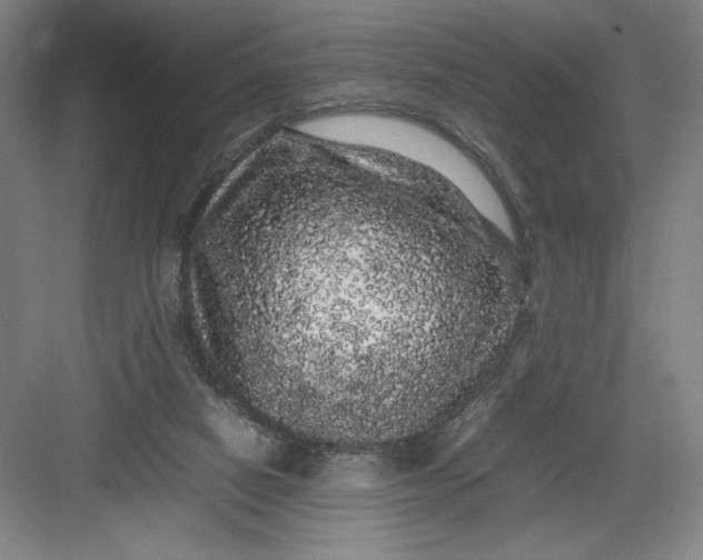 X0000082940066200702152225