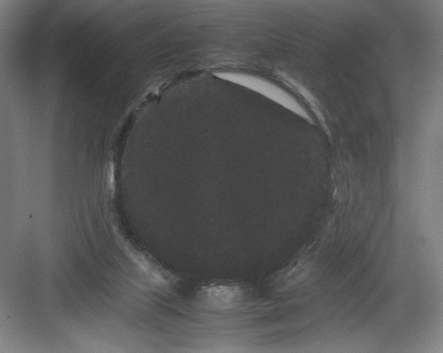 X0000082940067200702152225