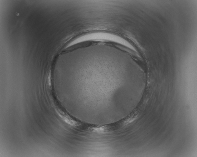 X0000082940068200702152225