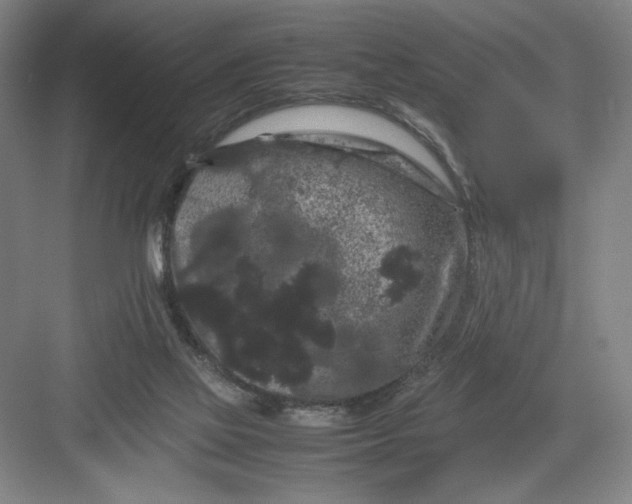 X0000082940069200702152225