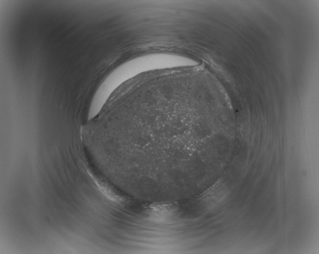 X0000082940070200702152225