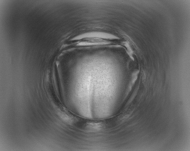 X0000082940071200702152225