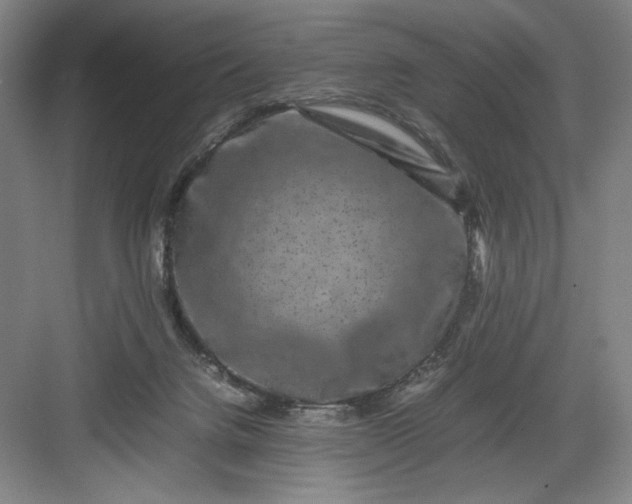 X0000082940072200702152225