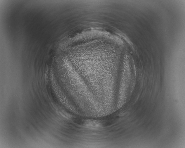 X0000082940073200702152225