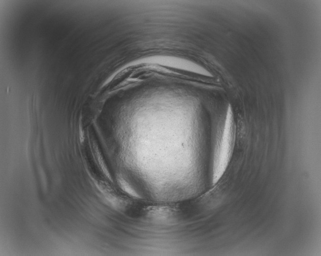 X0000082940074200702152225