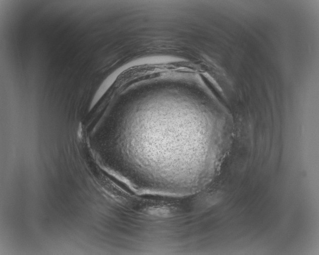 X0000082940075200702152225