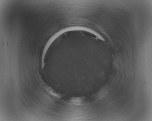 X0000082940076200702152225