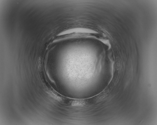 X0000082940077200702152225