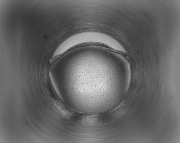 X0000082940078200702152225