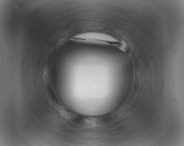 X0000082940079200702152225