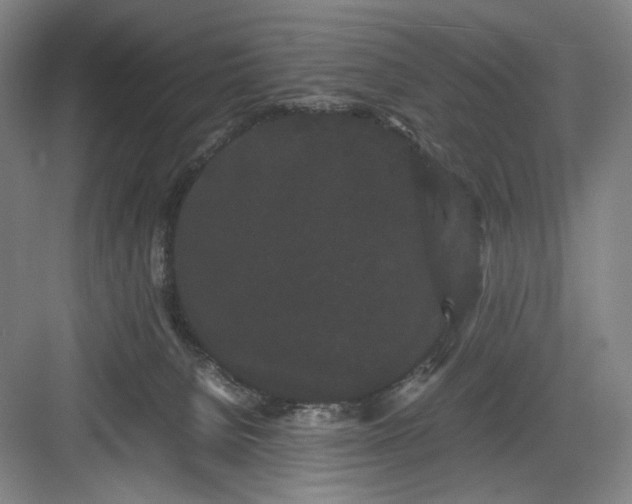 X0000082940080200702152225