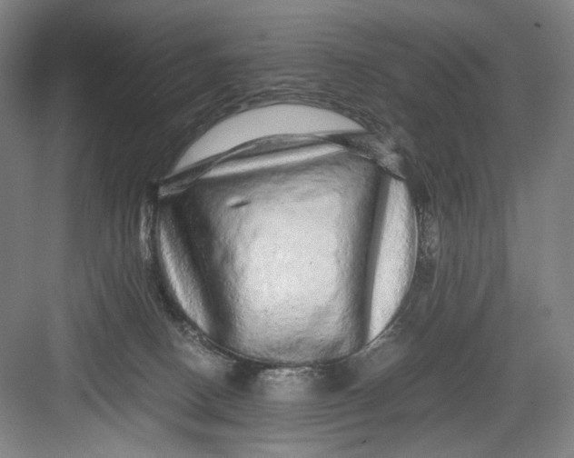 X0000082940082200702152225