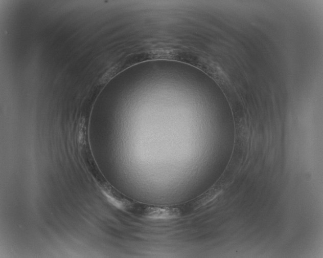 X0000082940083200702152225