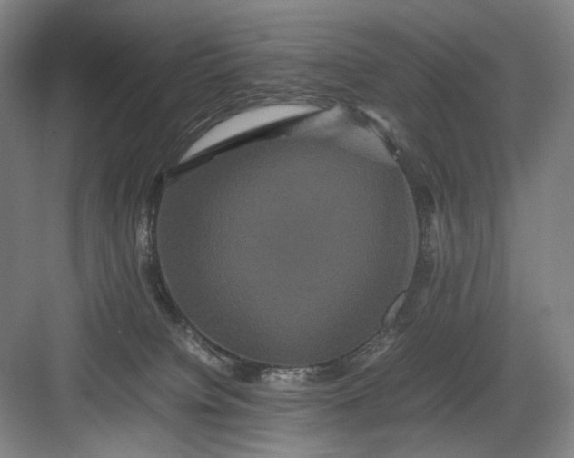 X0000082940084200702152225