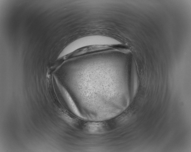 X0000082940085200702152225