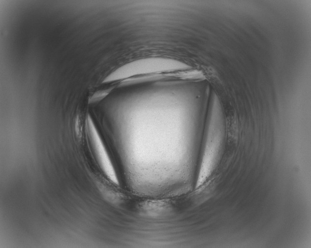 X0000082940086200702152225