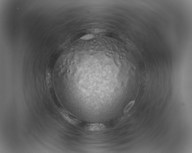 X0000082940087200702152225