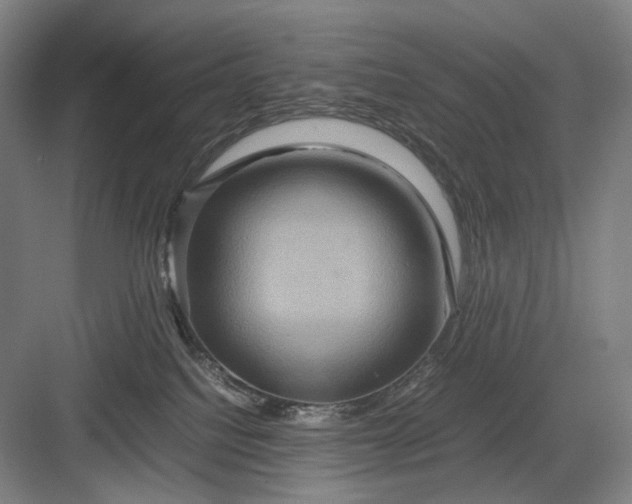 X0000082940088200702152225