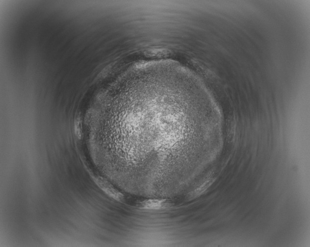 X0000082940090200702152225