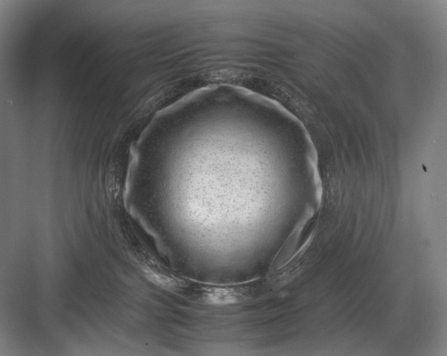 X0000082940091200702152225