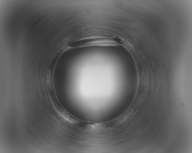 X0000082940092200702152225