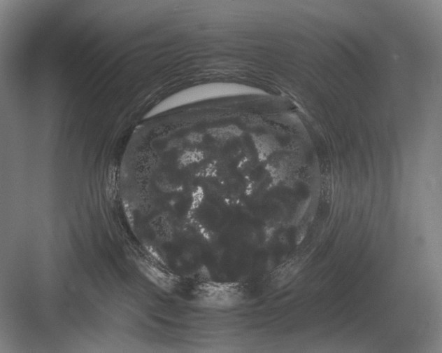 X0000082940093200702152225