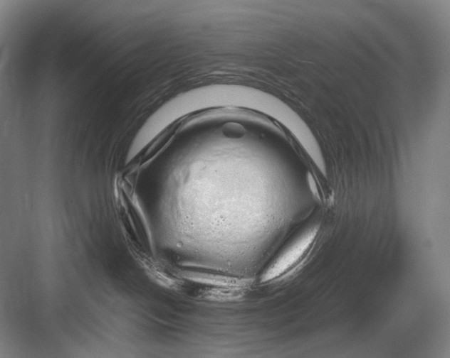 X0000082940094200702152225