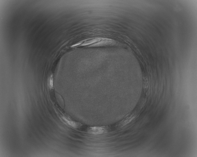 X0000082940095200702152225