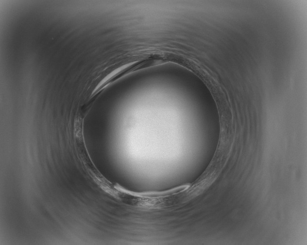 X0000082940096200702152225