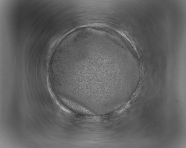 X0000082940097200702152224