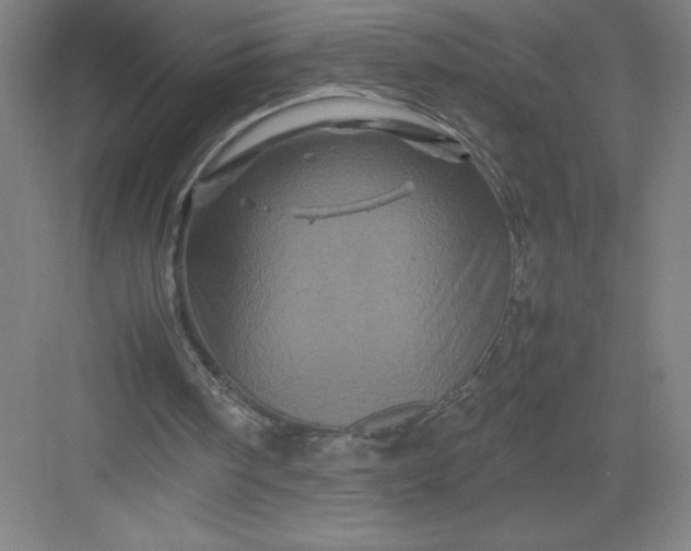 X0000082940098200702152224